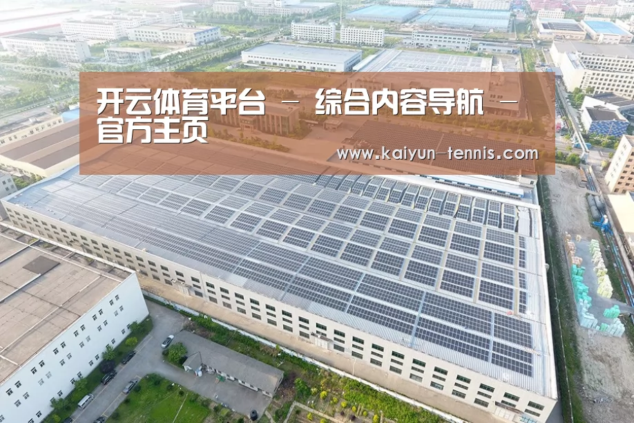 案例展示二