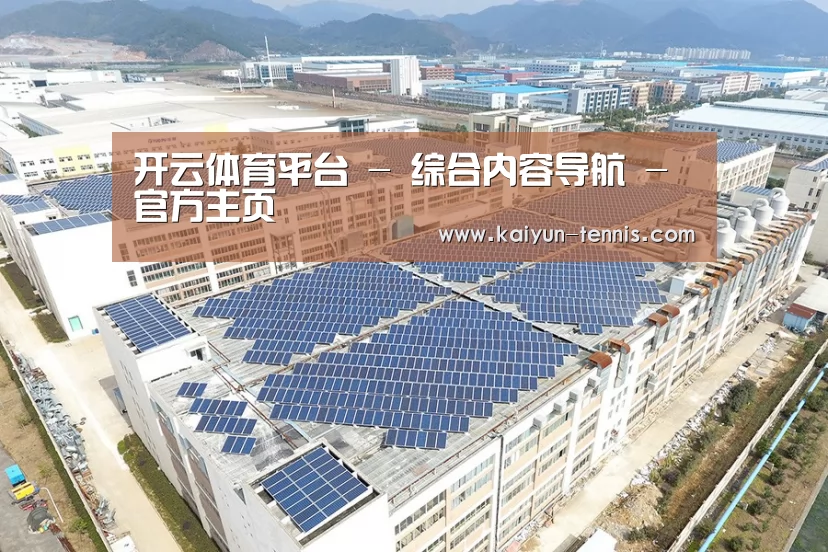 案例展示一