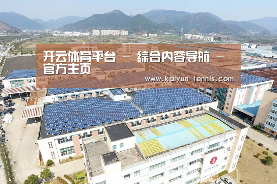 案例展示一