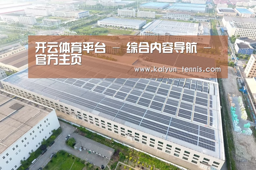案例展示二