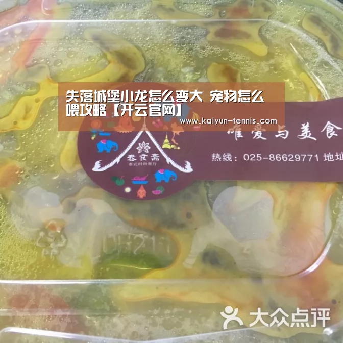 失落城堡小龙怎么变大 宠物怎么喂攻略【开云官网】(图3) 开云首页