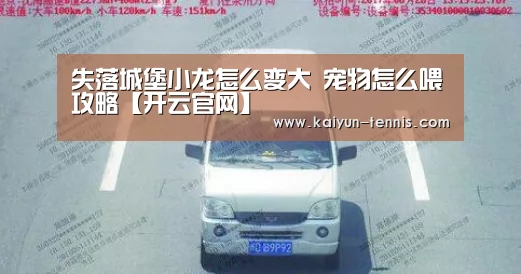 失落城堡小龙怎么变大 宠物怎么喂攻略【开云官网】(图1) 开云官网