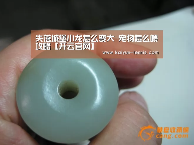 失落城堡小龙怎么变大 宠物怎么喂攻略【开云官网】(图2) 开云品牌