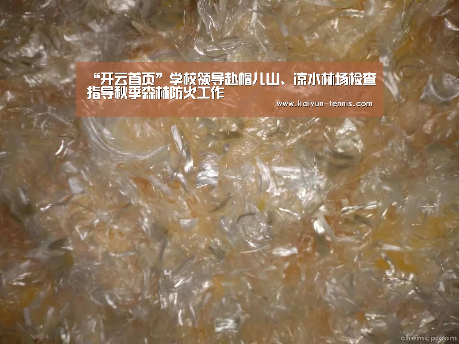 “开云首页”学校领导赴帽儿山、凉水林场检查指导秋季森林防火工作(图1) 开云体育