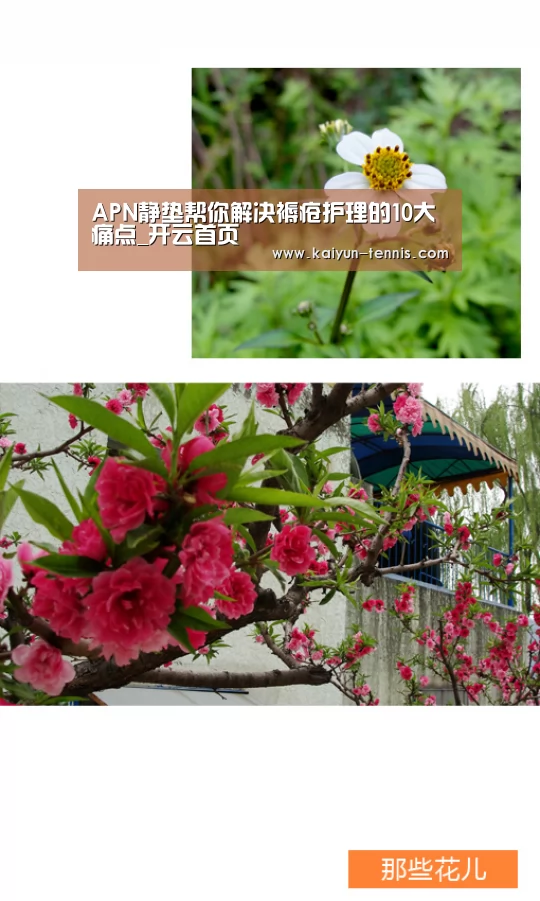 APN静垫帮你解决褥疮护理的10大痛点_开云首页(图1) 开云品牌