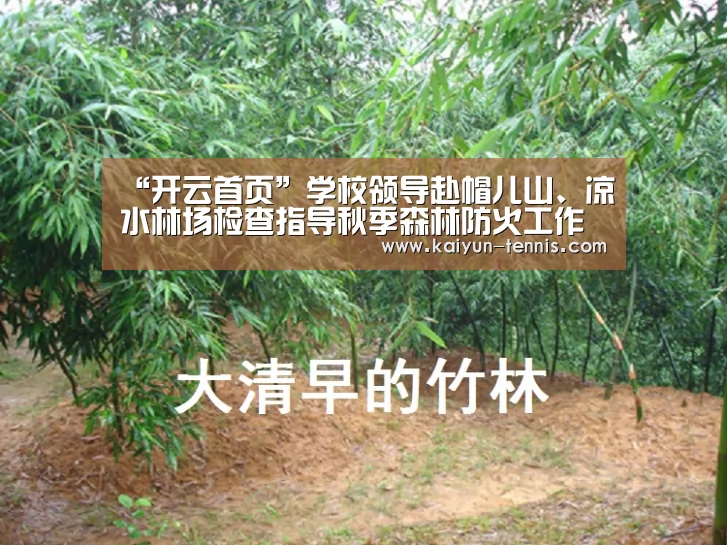 “开云首页”学校领导赴帽儿山、凉水林场检查指导秋季森林防火工作(图3) 开云首页