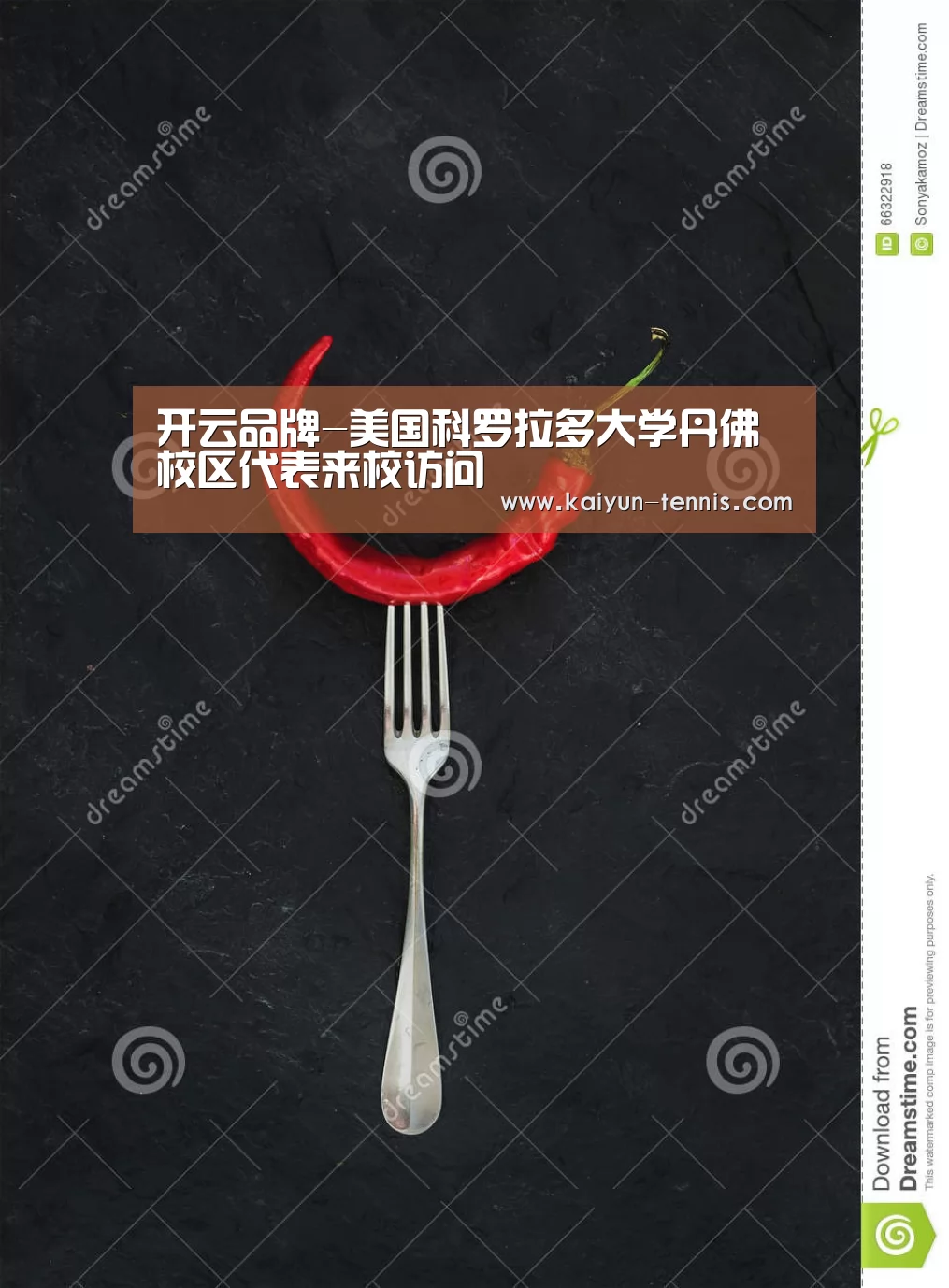 开云品牌-美国科罗拉多大学丹佛校区代表来校访问(图2) 开云体育