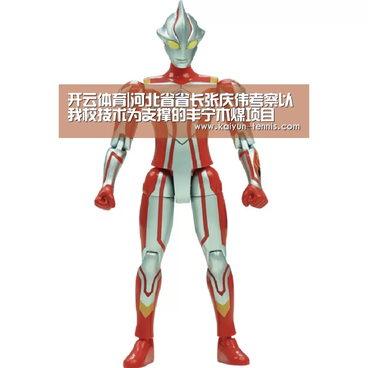 开云体育|河北省省长张庆伟考察以我校技术为支撑的丰宁木煤项目(图4) 开云品牌