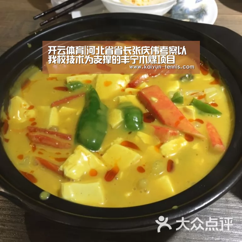 开云体育|河北省省长张庆伟考察以我校技术为支撑的丰宁木煤项目(图1) 开云品牌