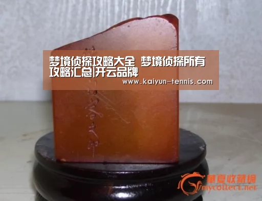 梦境侦探攻略大全 梦境侦探所有攻略汇总|开云品牌(图3) 开云首页