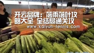 开云品牌:落雨落叶攻略大全 全结局通关攻略详解(图3) 开云首页