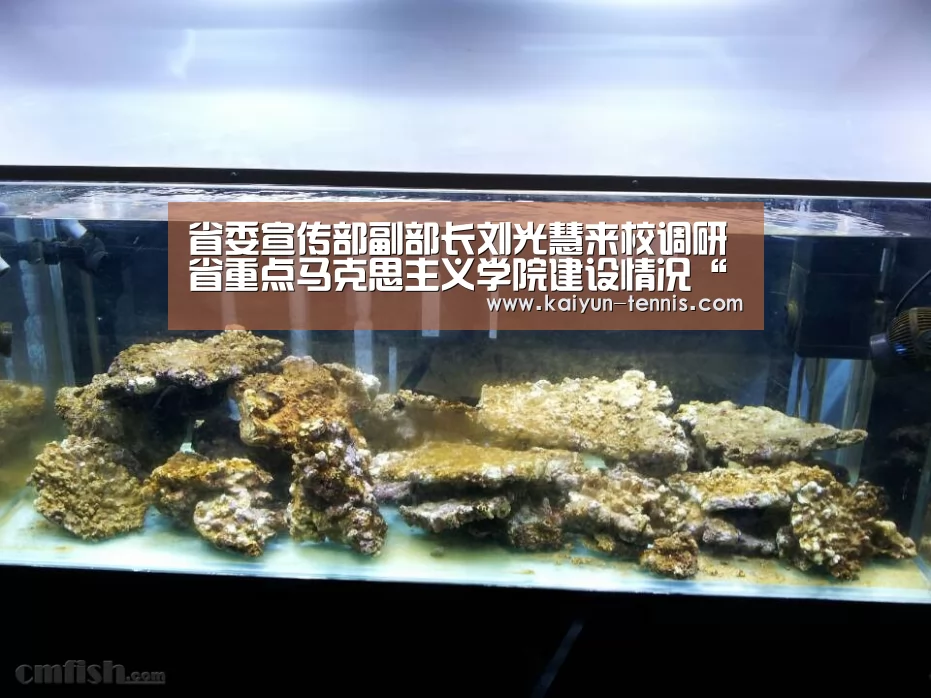 开云体育