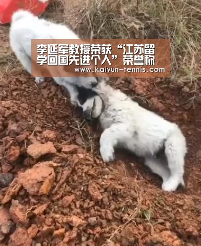 开云品牌