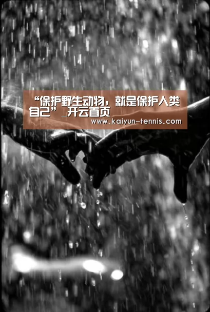 开云品牌