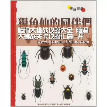 开云官网