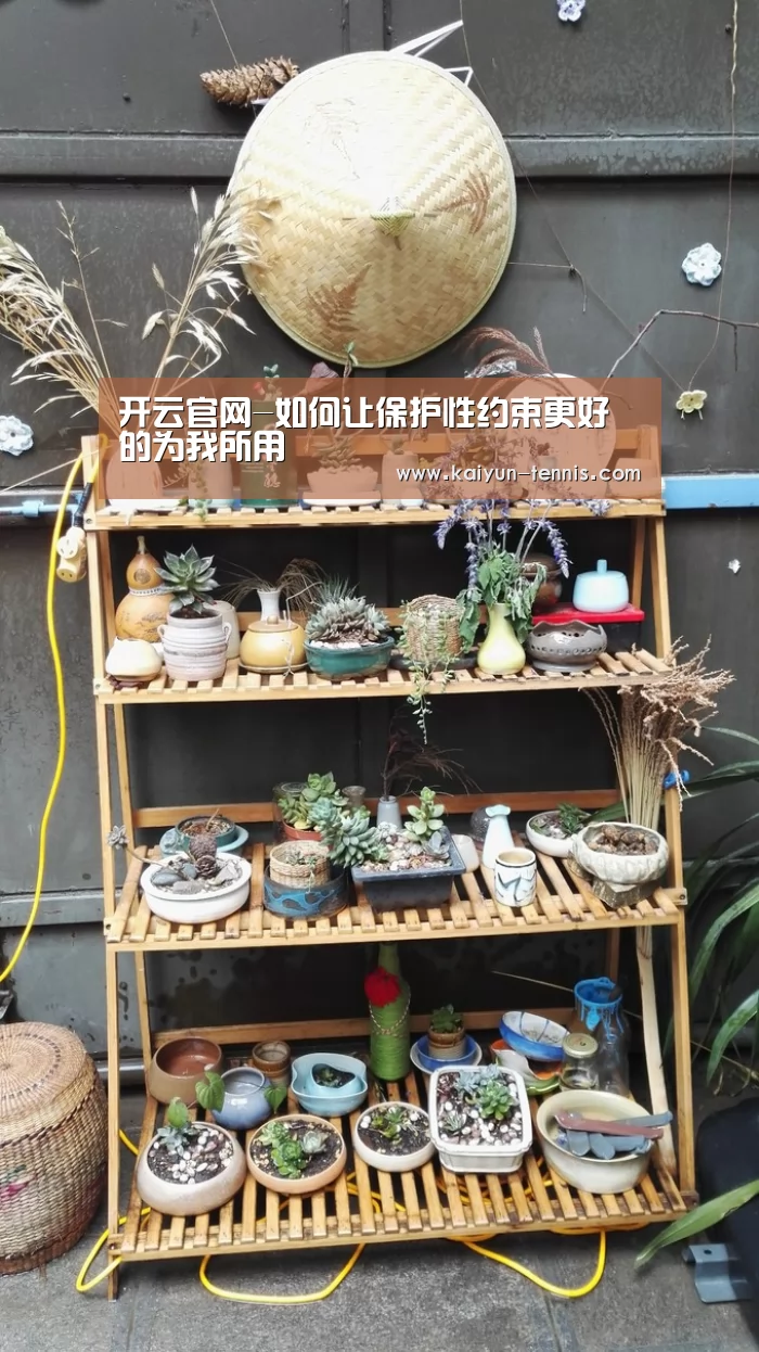 开云官网-如何让保护性约束更好的为我所用(图1) 开云品牌