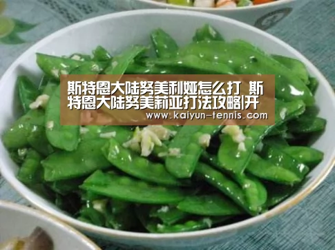 斯特恩大陆努美利娅怎么打 斯特恩大陆努美莉亚打法攻略|开云首页(图2) 开云官网