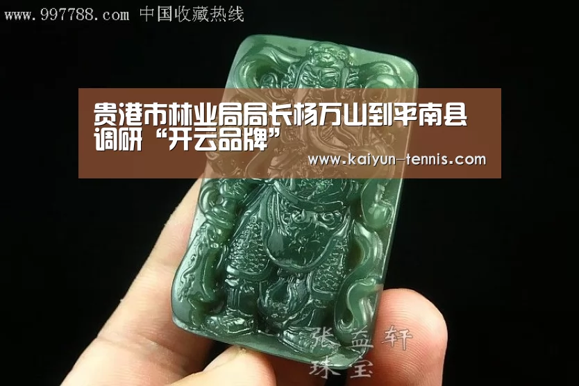 贵港市林业局局长杨万山到平南县调研“开云品牌”(图2) 开云体育