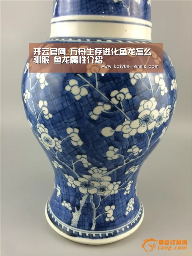 开云品牌