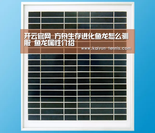 开云官网