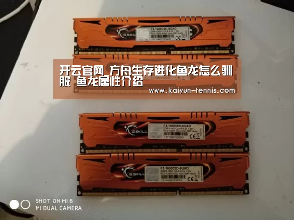 开云品牌